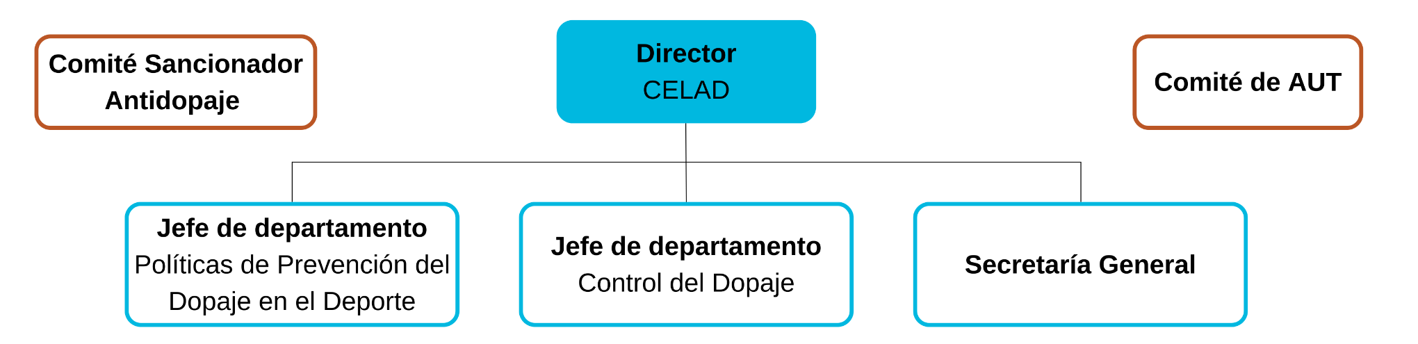 organigrama del departamento